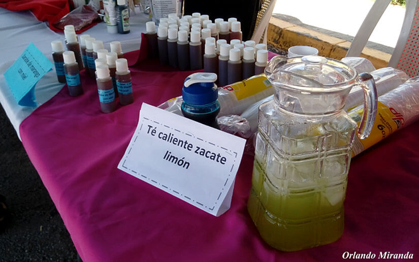 inta